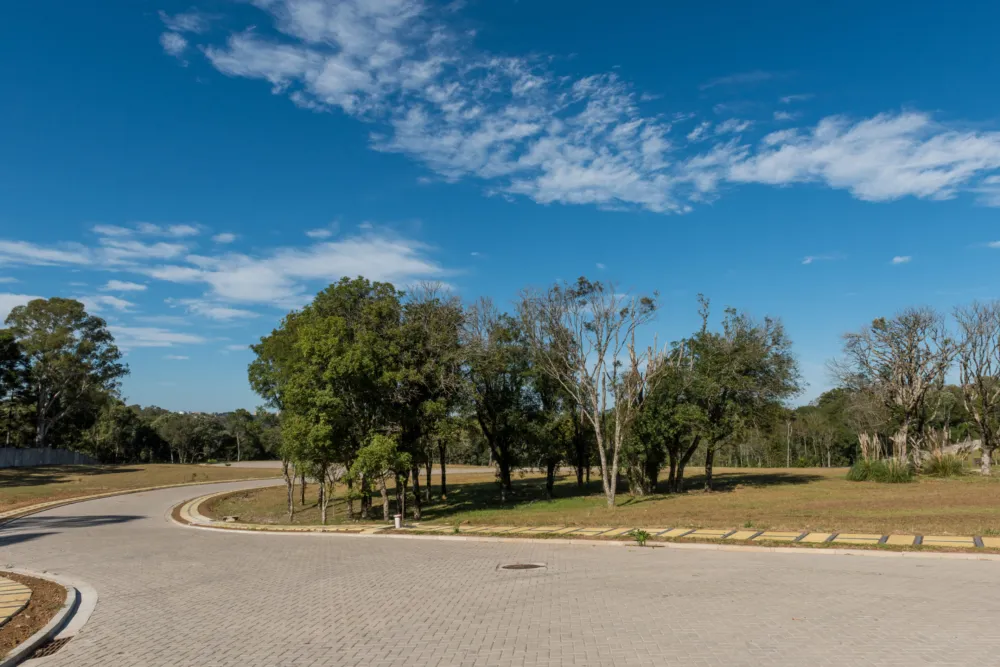 Lote para venda no bairro Pedancino em Caxias do Sul