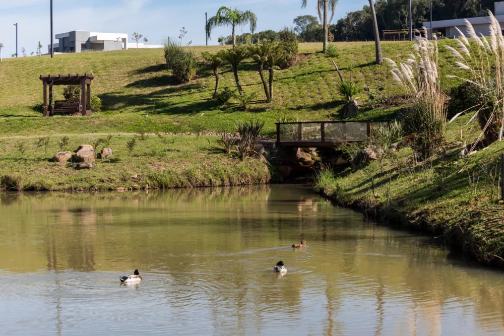 Lote para venda no bairro Pedancino em Caxias do Sul