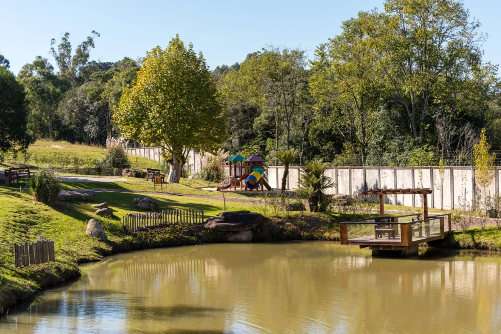 Lote para venda no bairro Pedancino em Caxias do Sul