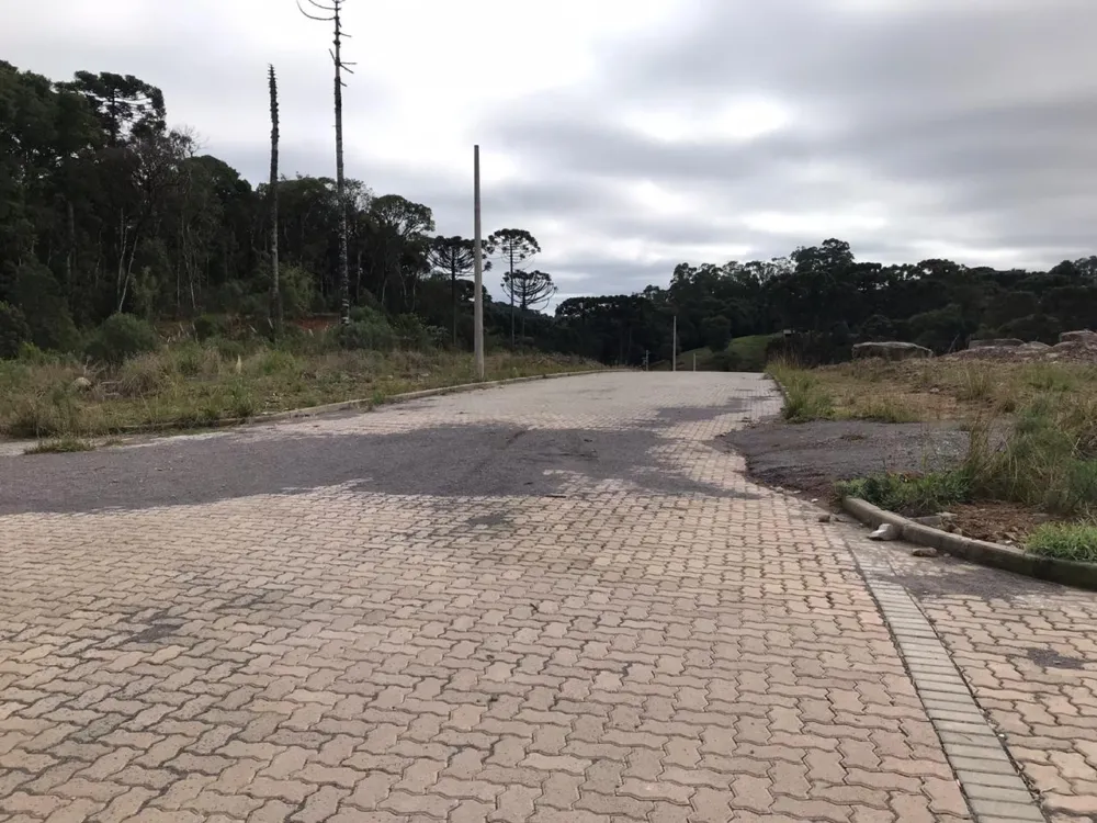Lote para venda no bairro Ana Rech  em Caxias do Sul