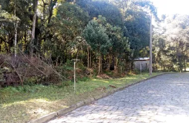 Terreno Padrão para venda no bairro São Virgílio  em Caxias do Sul
