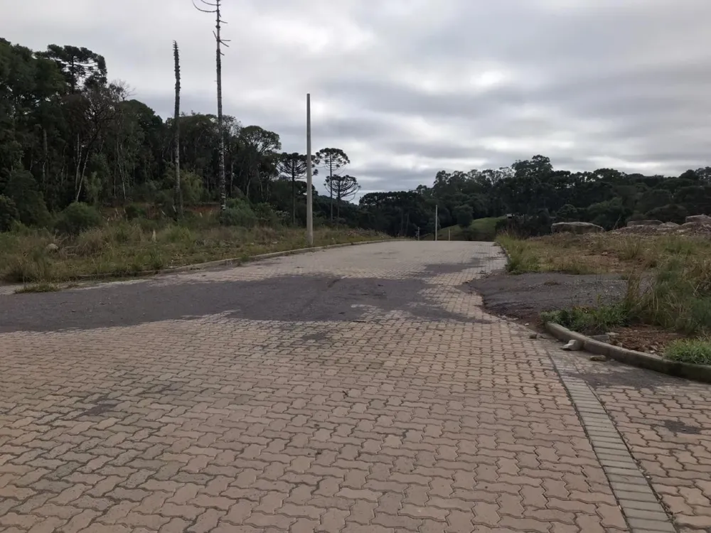 Lote para venda no bairro Ana Rech  em Caxias do Sul