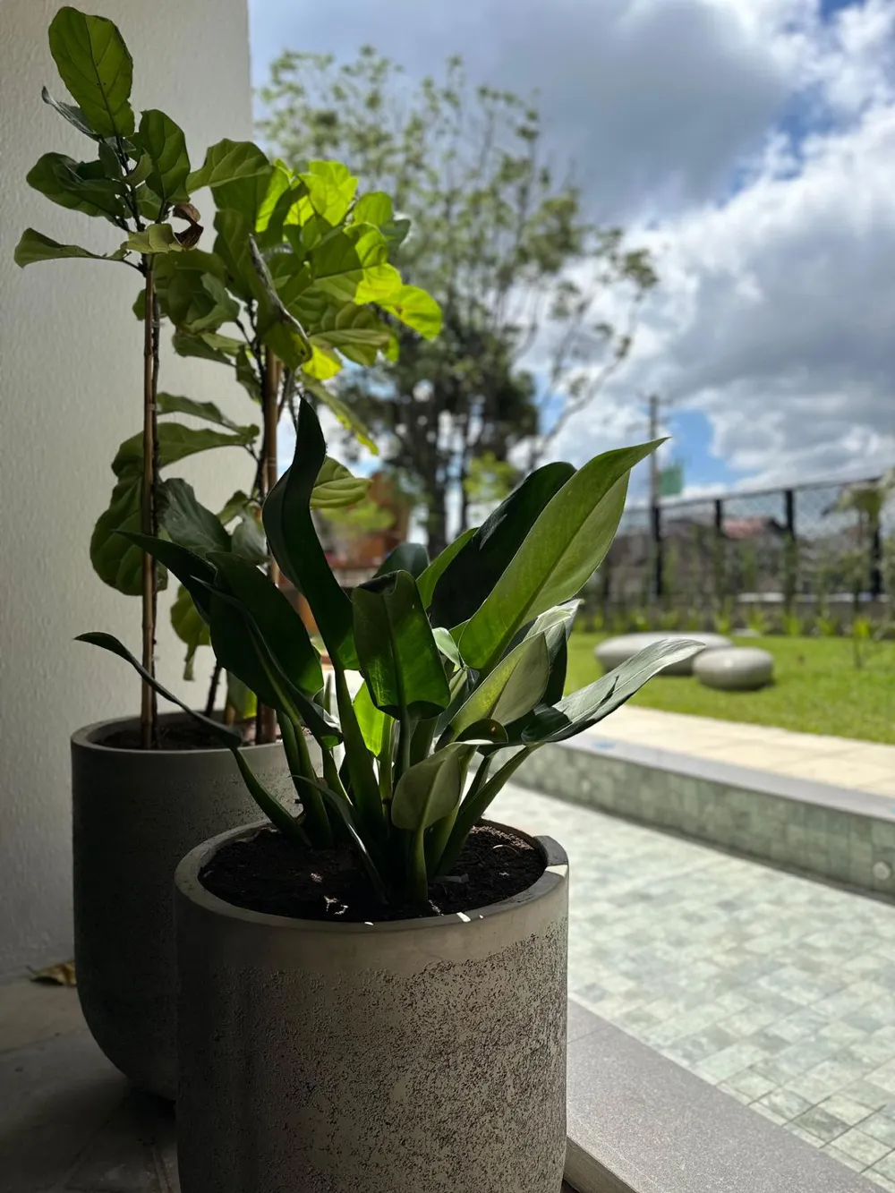Apartamento para venda no bairro Petrópolis em Caxias do Sul