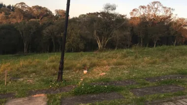 Terreno Padrão para venda no bairro Sagrada Família em Caxias do Sul