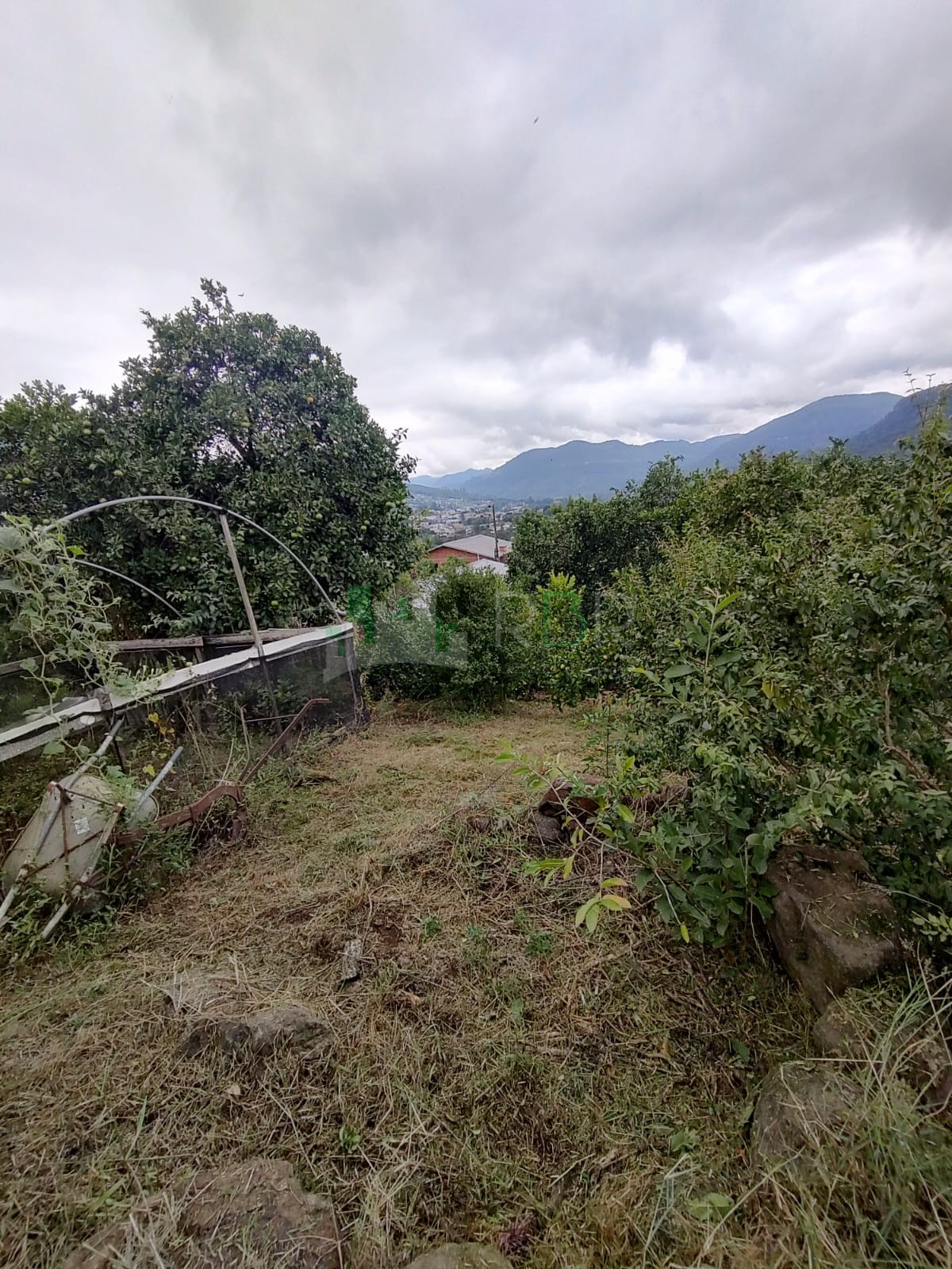 Oportunidade no Morro Paris: Terreno com Vista Panorâmica e Pomar Formado