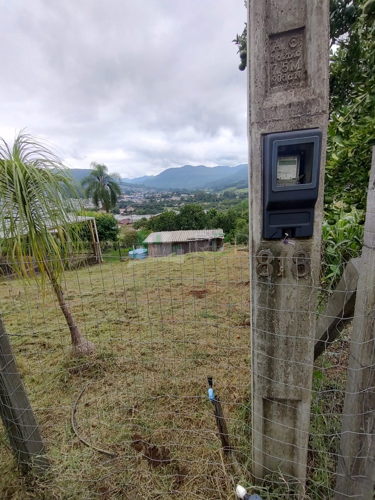 Oportunidade no Morro Paris: Terreno com Vista Panorâmica e Pomar Formado