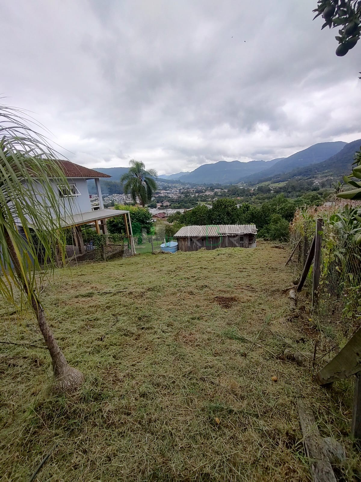 Oportunidade no Morro Paris: Terreno com Vista Panorâmica e Pomar Formado