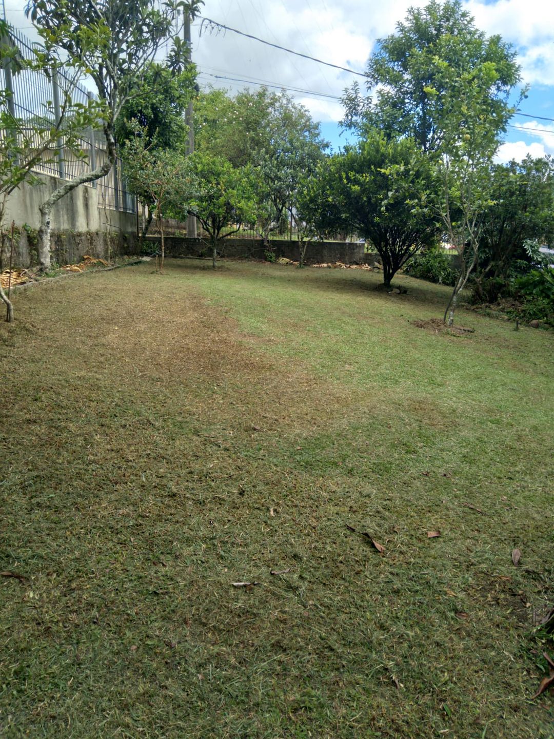 Terreno Padrão para venda no bairro Cinquentenário em Caxias do Sul